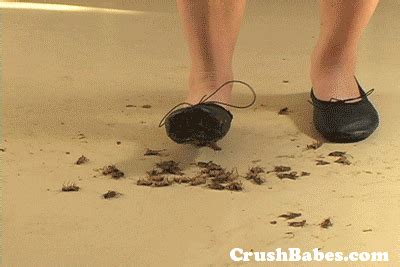 cricket crush fetish|Hot Cricket Crush Barefoot